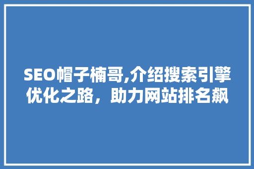 SEO帽子楠哥,介绍搜索引擎优化之路，助力网站排名飙升