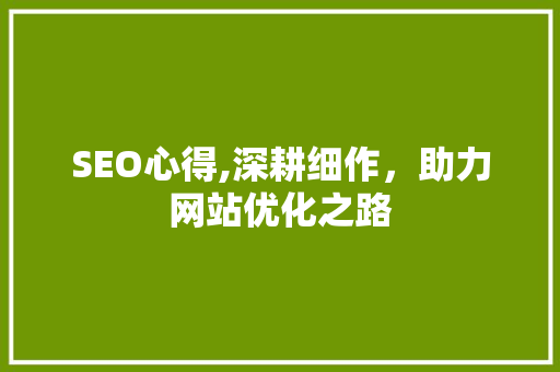 SEO心得,深耕细作，助力网站优化之路