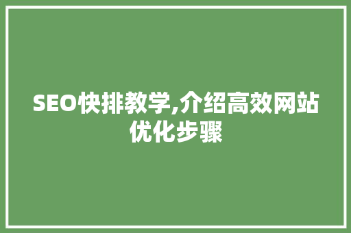 SEO快排教学,介绍高效网站优化步骤