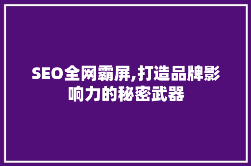 SEO全网霸屏,打造品牌影响力的秘密武器