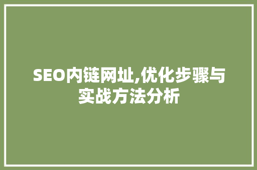 SEO内链网址,优化步骤与实战方法分析