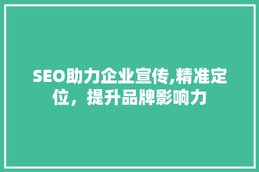 SEO助力企业宣传,精准定位，提升品牌影响力