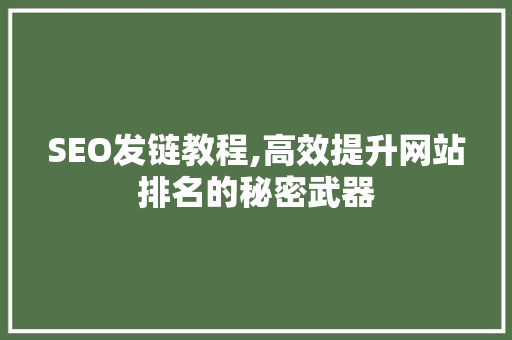 SEO发链教程,高效提升网站排名的秘密武器