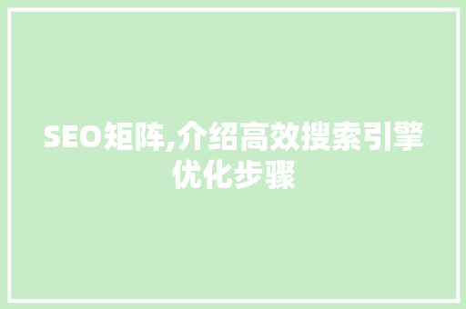 SEO矩阵,介绍高效搜索引擎优化步骤