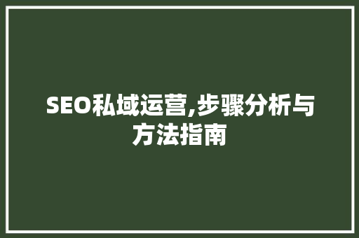 SEO私域运营,步骤分析与方法指南