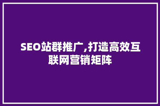 SEO站群推广,打造高效互联网营销矩阵