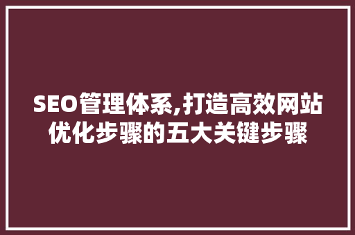 SEO管理体系,打造高效网站优化步骤的五大关键步骤