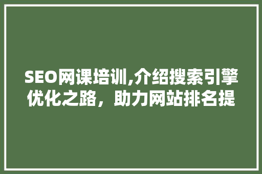 SEO网课培训,介绍搜索引擎优化之路，助力网站排名提升
