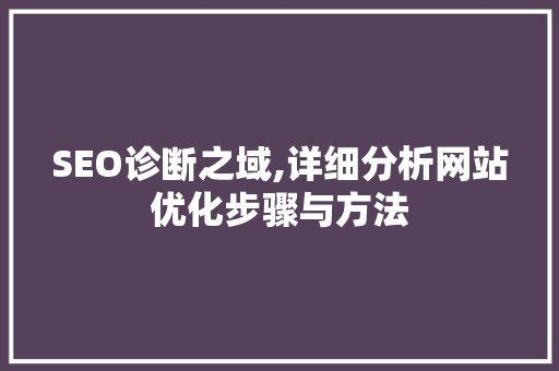 SEO诊断之域,详细分析网站优化步骤与方法