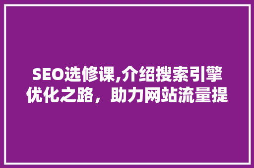 SEO选修课,介绍搜索引擎优化之路，助力网站流量提升