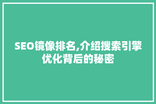 SEO镜像排名,介绍搜索引擎优化背后的秘密