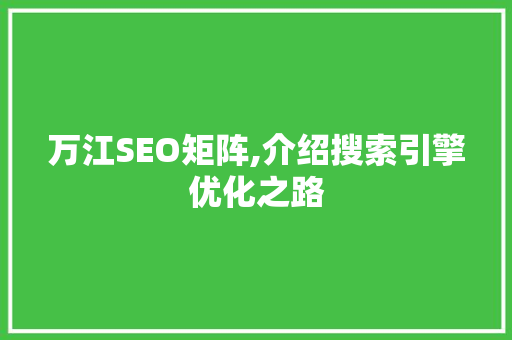 万江SEO矩阵,介绍搜索引擎优化之路