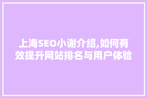 上海SEO小谢介绍,如何有效提升网站排名与用户体验