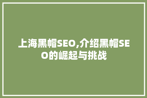上海黑帽SEO,介绍黑帽SEO的崛起与挑战