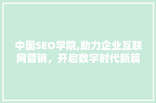 中国SEO学院,助力企业互联网营销，开启数字时代新篇章
