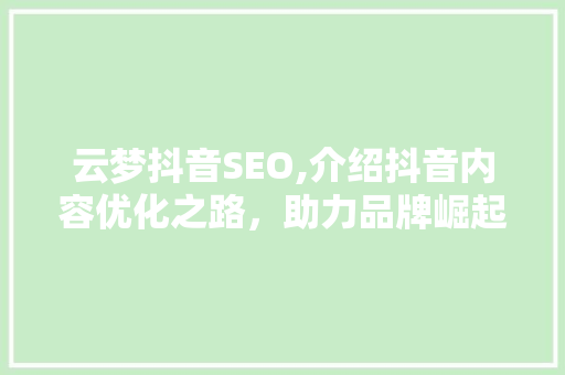 云梦抖音SEO,介绍抖音内容优化之路，助力品牌崛起 百度算法