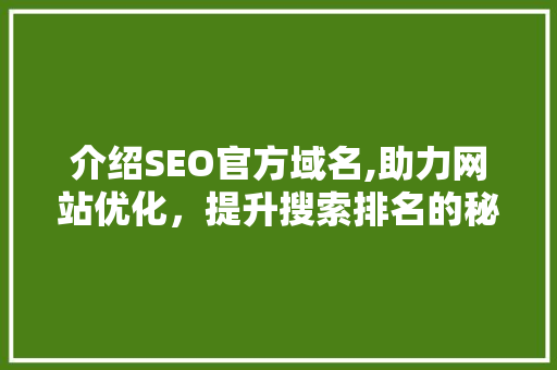 介绍SEO官方域名,助力网站优化，提升搜索排名的秘密武器