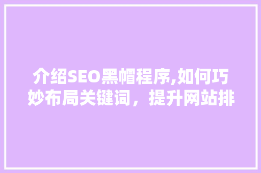 介绍SEO黑帽程序,如何巧妙布局关键词，提升网站排名