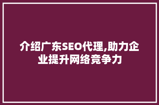 介绍广东SEO代理,助力企业提升网络竞争力
