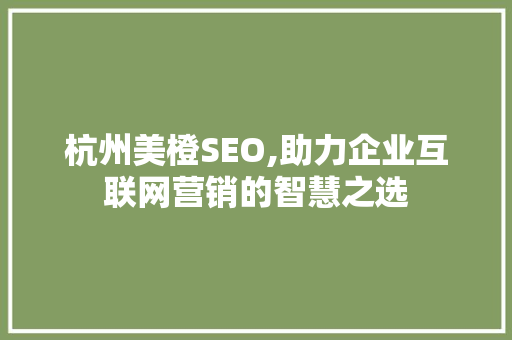 杭州美橙SEO,助力企业互联网营销的智慧之选