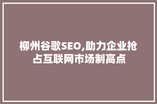 柳州谷歌SEO,助力企业抢占互联网市场制高点