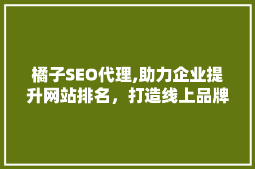 橘子SEO代理,助力企业提升网站排名，打造线上品牌影响力