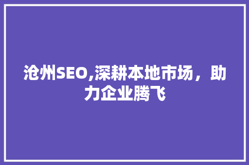 沧州SEO,深耕本地市场，助力企业腾飞 英文谷歌算法