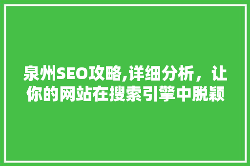 泉州SEO攻略,详细分析，让你的网站在搜索引擎中脱颖而出