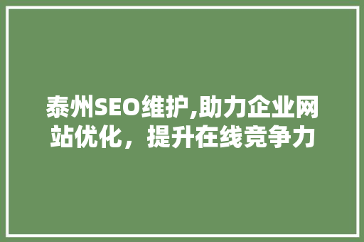 泰州SEO维护,助力企业网站优化，提升在线竞争力