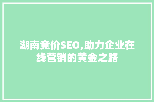 湖南竞价SEO,助力企业在线营销的黄金之路