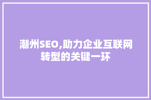 潮州SEO,助力企业互联网转型的关键一环