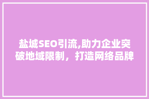 盐城SEO引流,助力企业突破地域限制，打造网络品牌新高度