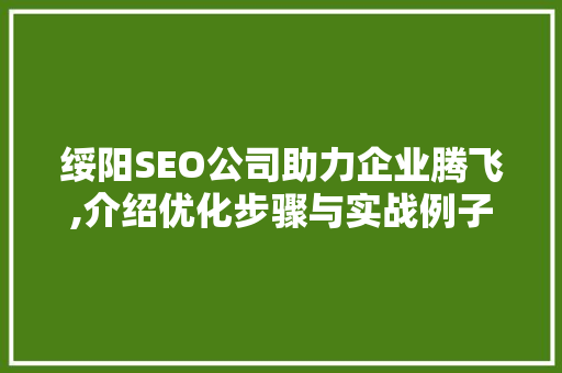 绥阳SEO公司助力企业腾飞,介绍优化步骤与实战例子