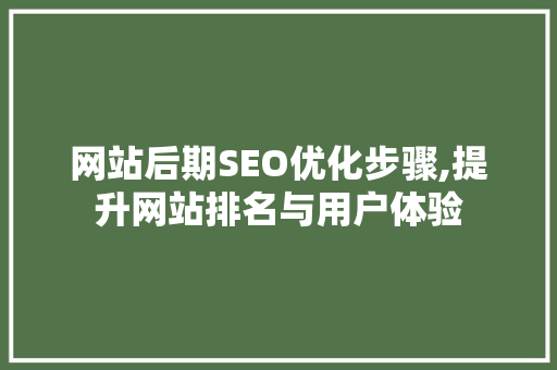 网站后期SEO优化步骤,提升网站排名与用户体验