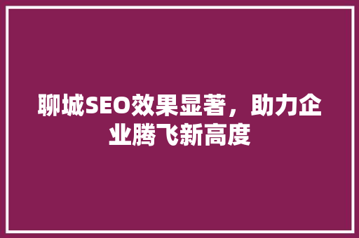 聊城SEO效果显著，助力企业腾飞新高度