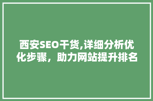 西安SEO干货,详细分析优化步骤，助力网站提升排名