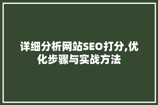 详细分析网站SEO打分,优化步骤与实战方法