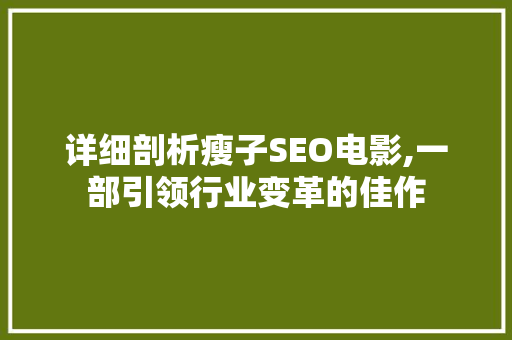 详细剖析瘦子SEO电影,一部引领行业变革的佳作
