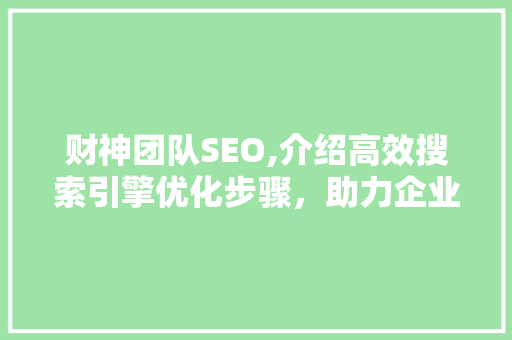 财神团队SEO,介绍高效搜索引擎优化步骤，助力企业腾飞 360搜优化