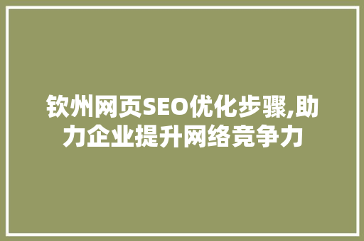 钦州网页SEO优化步骤,助力企业提升网络竞争力 网站开发