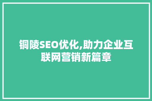 铜陵SEO优化,助力企业互联网营销新篇章 网站开发