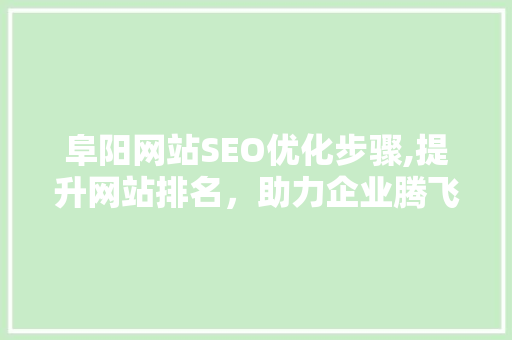 阜阳网站SEO优化步骤,提升网站排名，助力企业腾飞