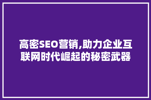 高密SEO营销,助力企业互联网时代崛起的秘密武器