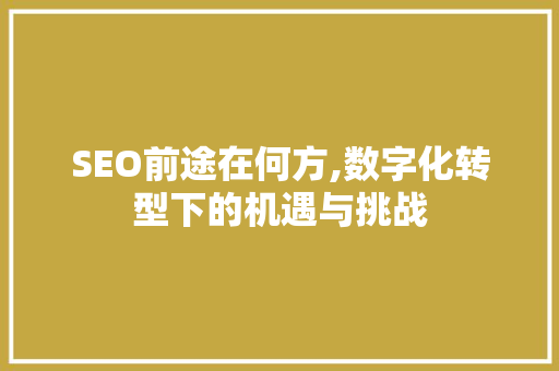 SEO前途在何方,数字化转型下的机遇与挑战