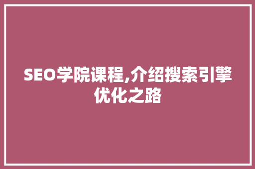 SEO学院课程,介绍搜索引擎优化之路