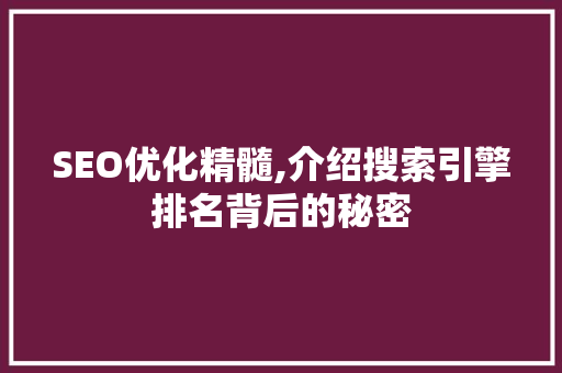 SEO优化精髓,介绍搜索引擎排名背后的秘密