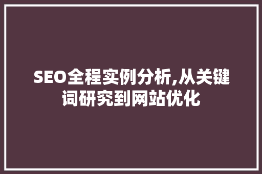 SEO全程实例分析,从关键词研究到网站优化
