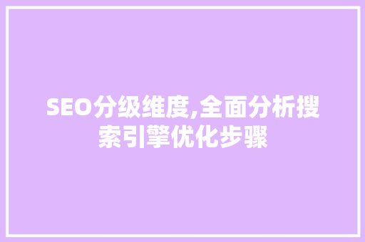 SEO分级维度,全面分析搜索引擎优化步骤