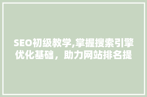 SEO初级教学,掌握搜索引擎优化基础，助力网站排名提升
