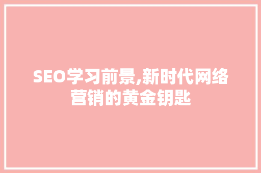 SEO学习前景,新时代网络营销的黄金钥匙